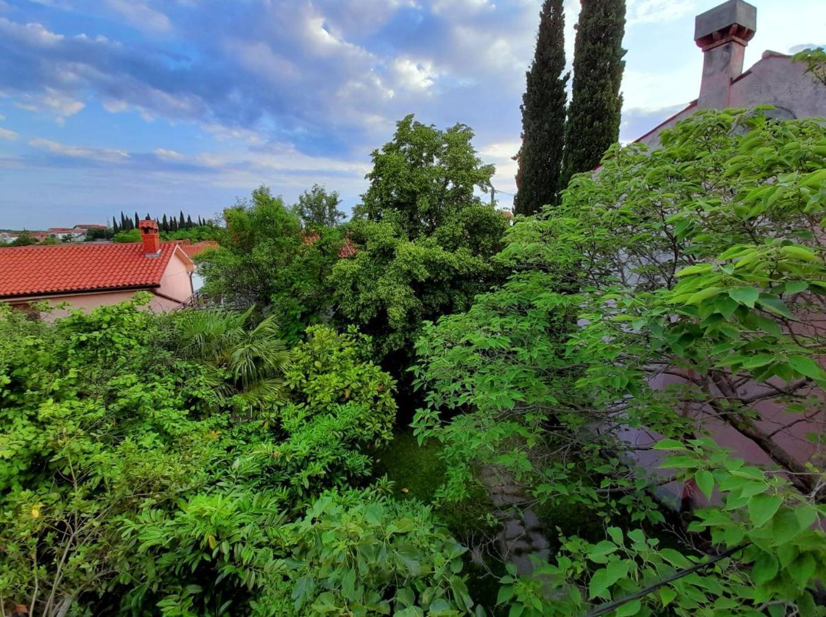 Šmarje Traditional Istrian Stone House מראה חיצוני תמונה