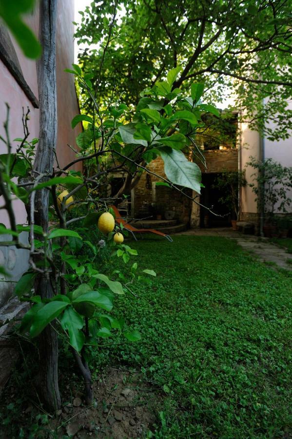 Šmarje Traditional Istrian Stone House מראה חיצוני תמונה