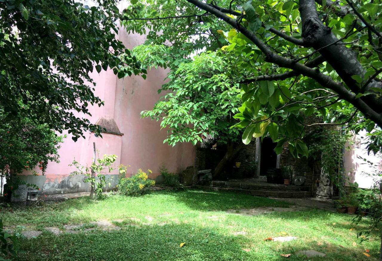 Šmarje Traditional Istrian Stone House מראה חיצוני תמונה